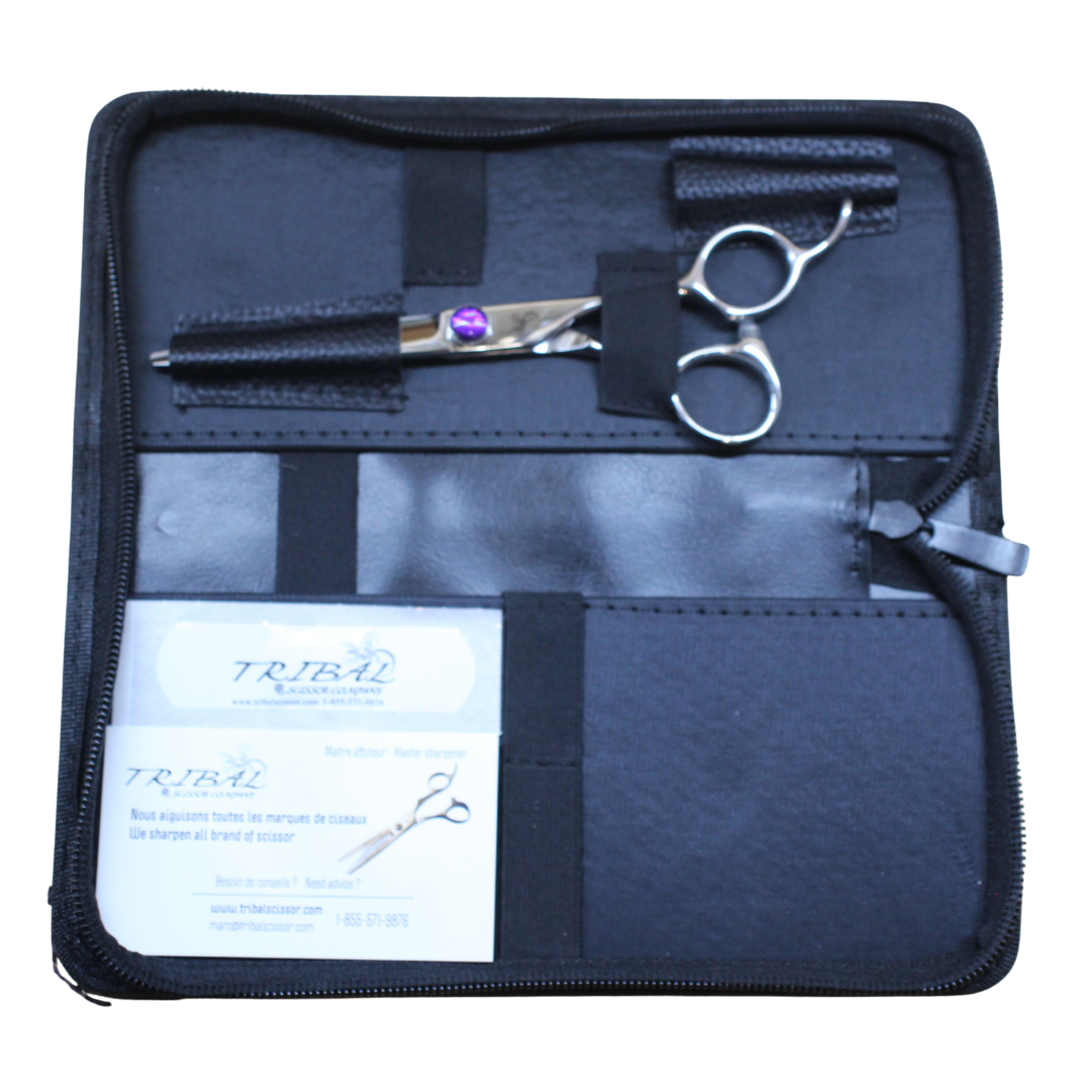 Final Case | ST2 | scissor(s) in case