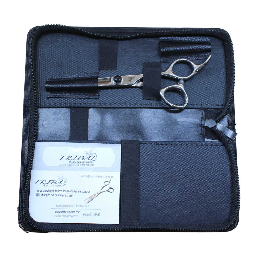 Final Case | ST5 | scissor(s) in case