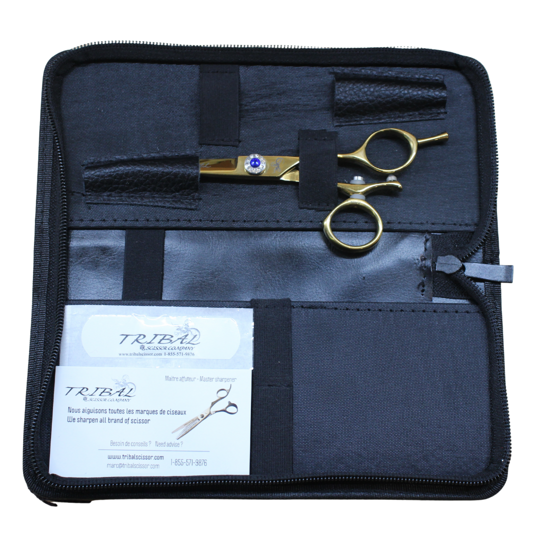 Final Case | TWIST OR | scissor(s) in case