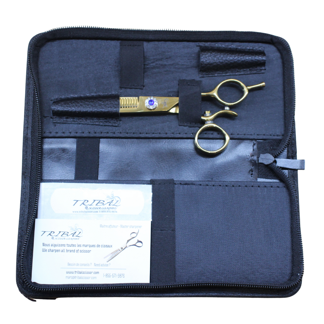 Final Case | TWIST OR TH | scissor(s) in case