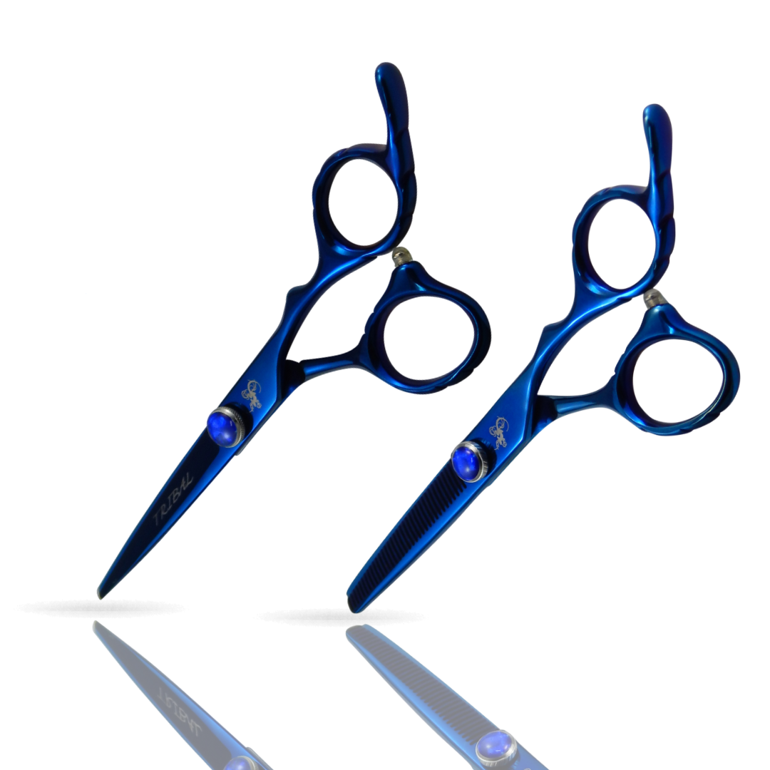 Duo Bleu
