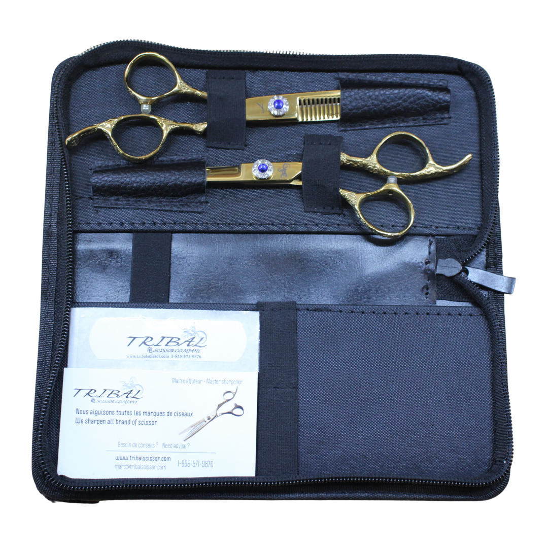 Final Case | KIT BLUES OR | scissor(s) in case