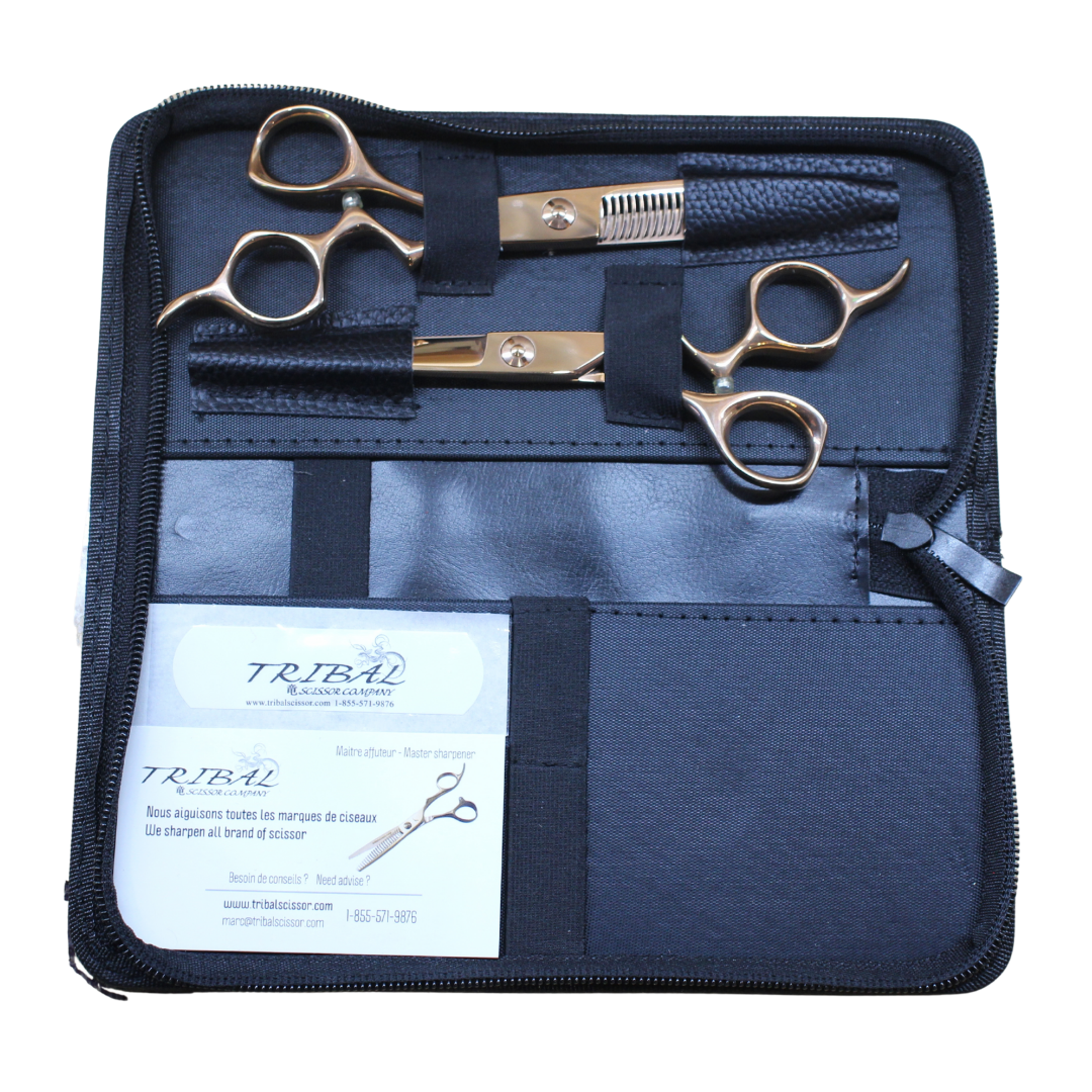 Final Case | KIT EVOLUTION ROSEGOLD | scissor(s) in case