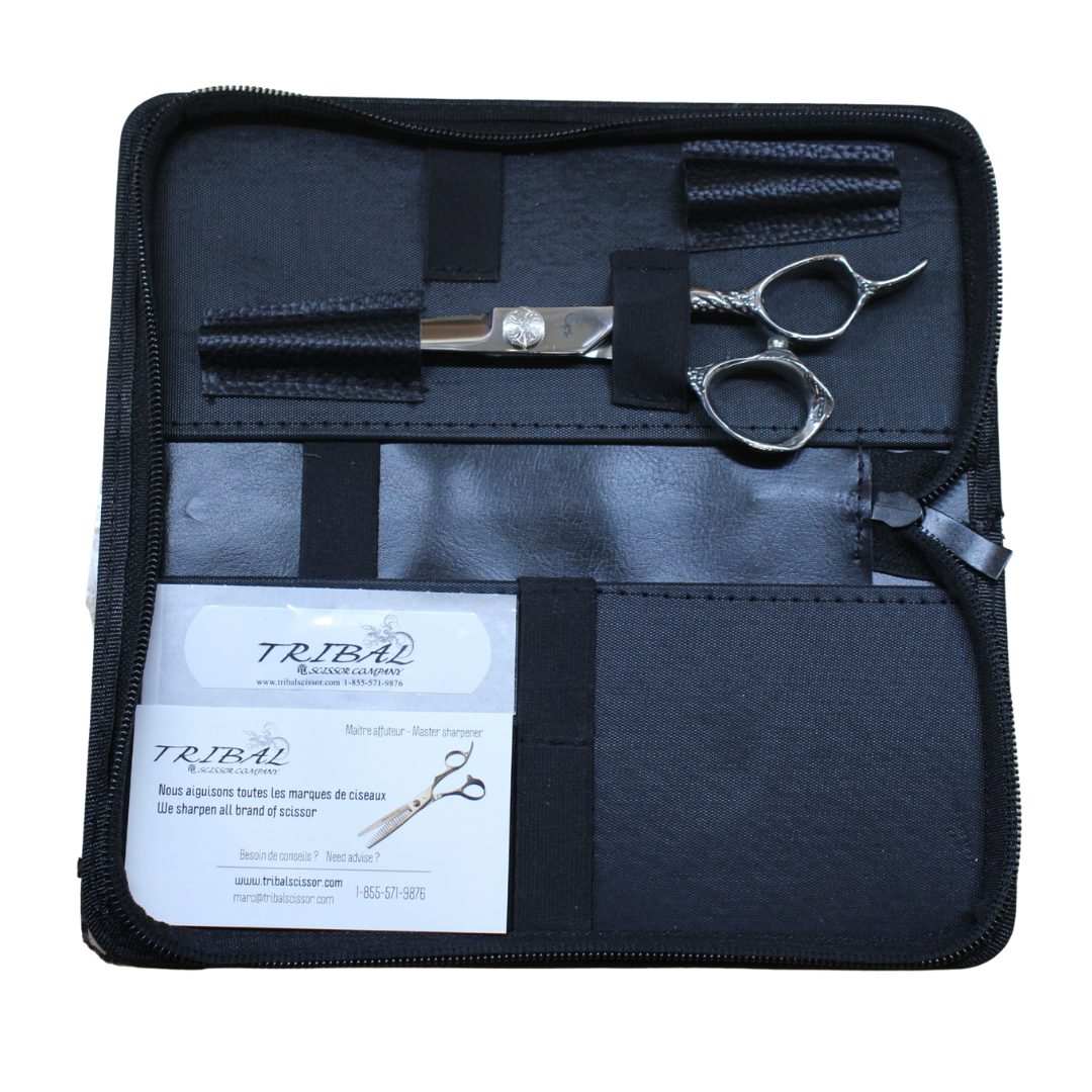 Final Case | NICE (2) | scissor(s) in case