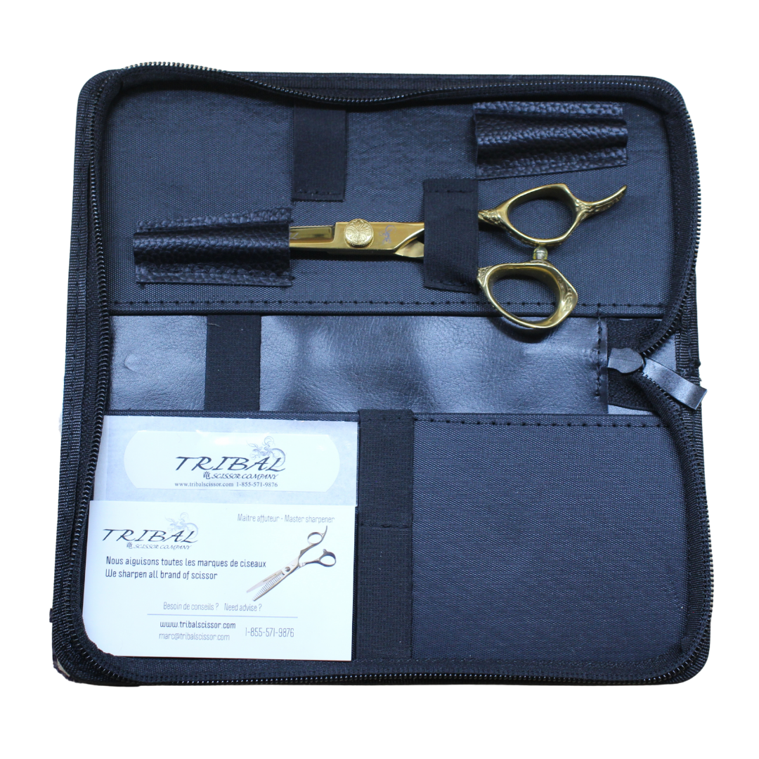 Final Case | OR | scissor(s) in case