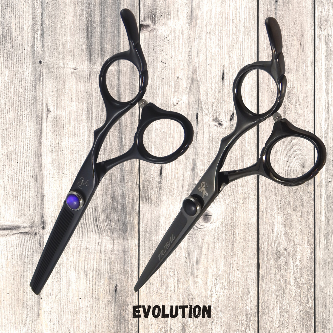 Duo EVOLUTION